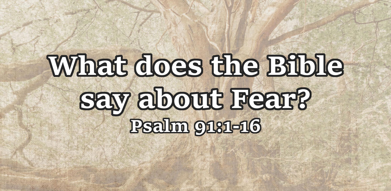 Audio What Does The Bible Say About Fear Psalm 91 1 16 Brother Doug 