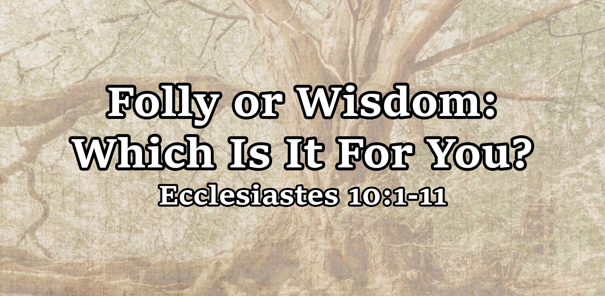 Folly or Wisdom: Which Is It For You? Ecclesiastes 10:1-11 - Pastor Josh Miller