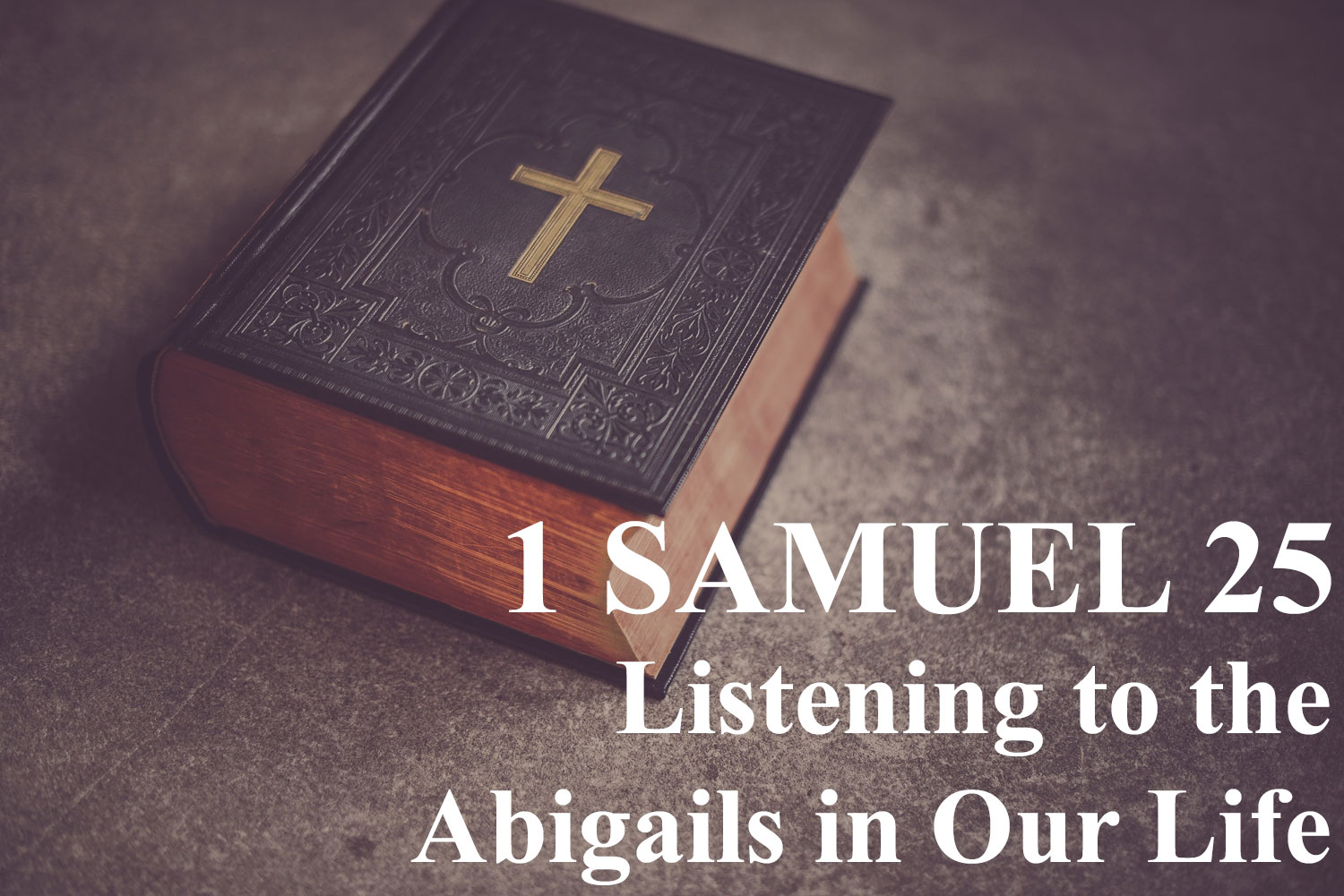 Listening to the Abigails in Our Life, 1 Samuel 25 - Pastor Josh Miller
