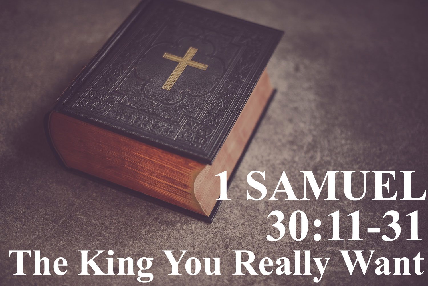 The King You Really Want, 1 Samuel 30:11-31 - Pastor Josh Miller