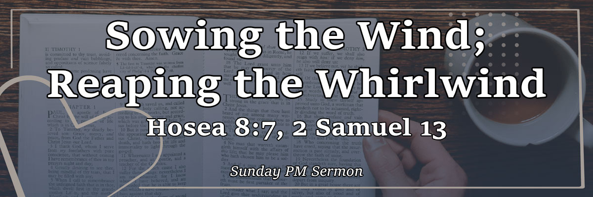 Sowing the Wind; Reaping the Whirlwind, Hosea 8:7, 2 Samuel 13 - Pastor Josh Miller Sowing the Wind; Reaping the Whirlwind, Hosea 8:7, 2 Samuel 13 - Pastor Josh Miller