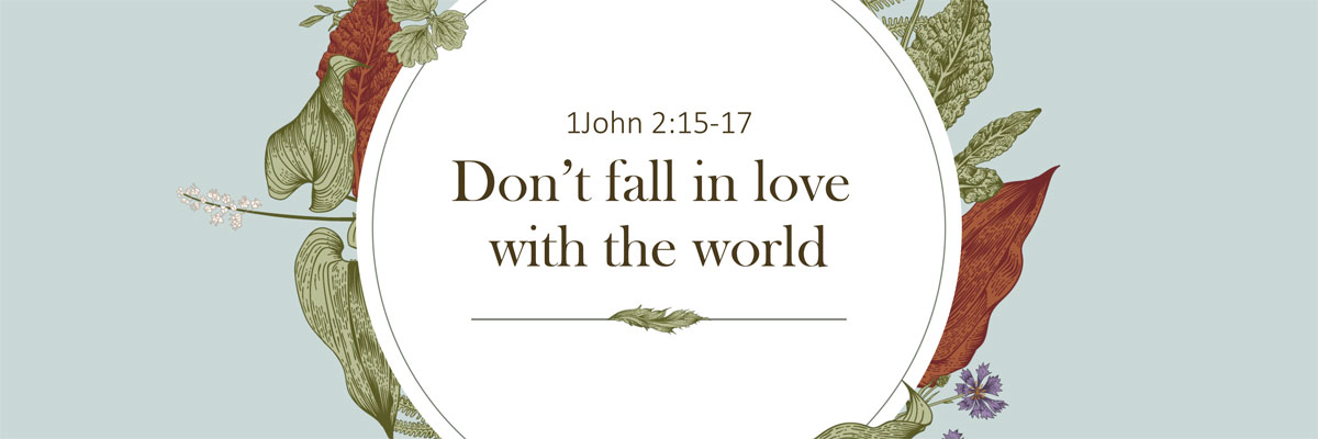 Don't Fall In Love With the World, 1 John 2:15-17 - Brother Brian Evancho